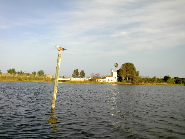 27032009267-001.jpg