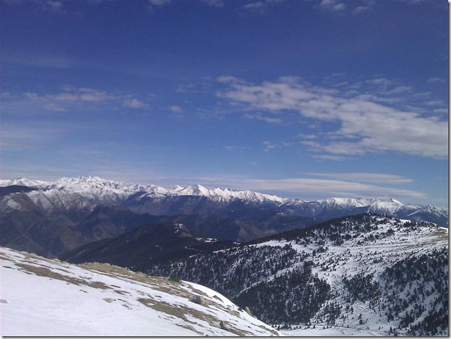 WP_000333 (Medium)